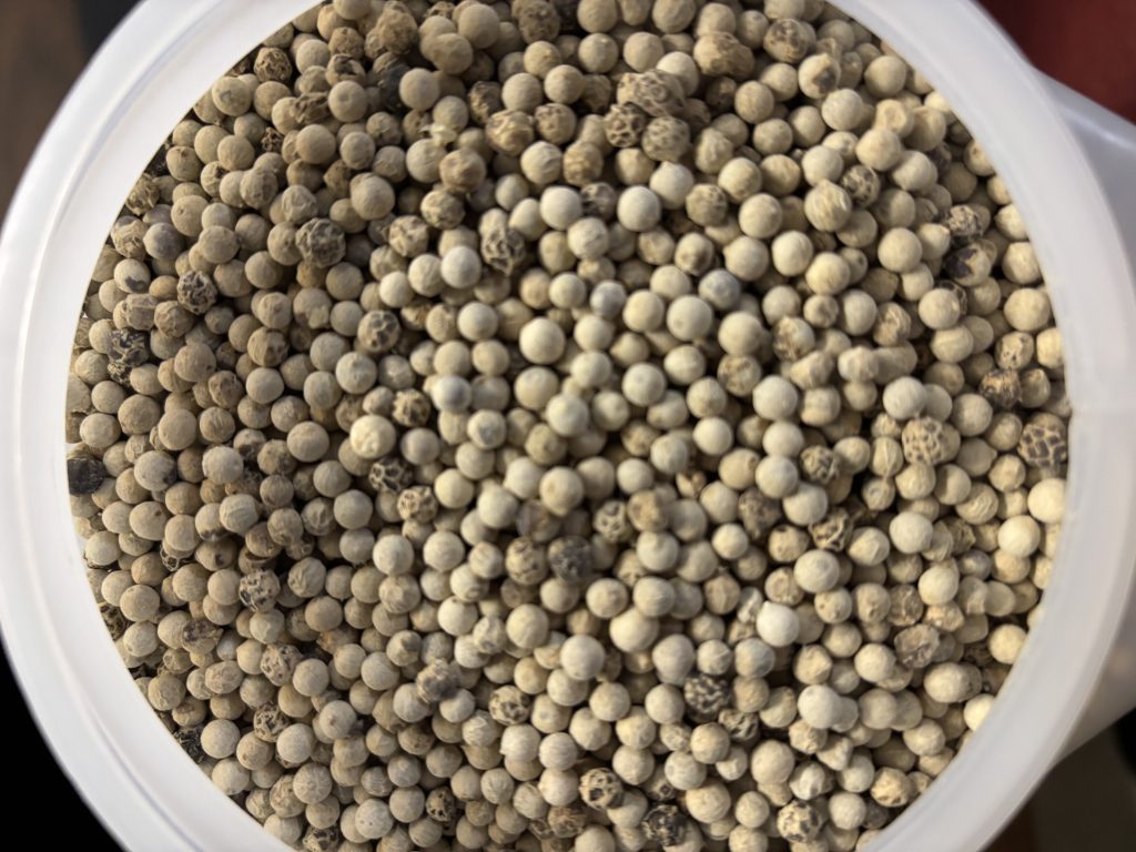 Whole White Peppercorns